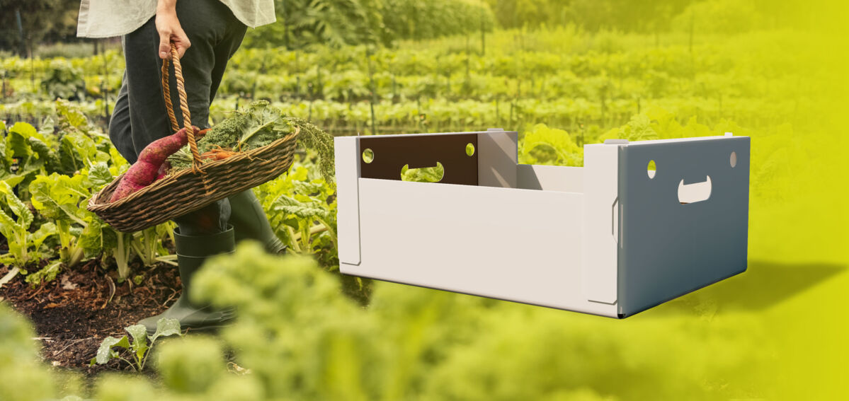 Smart-Packaging-Solutions-opzettray-2 Smart-Packaging-Solutions-opzettray-2