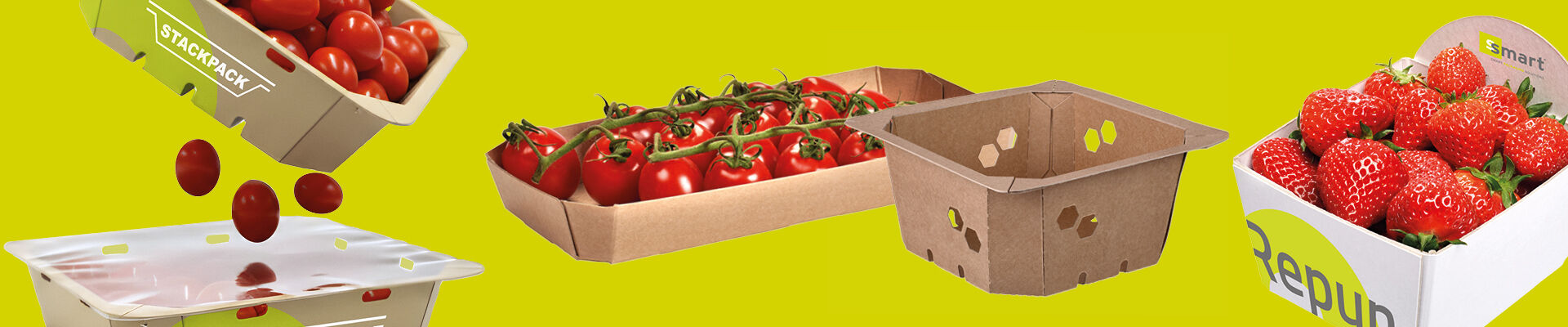 PPWR: Was bedeuten die neuen europäischen Verpackungsvorschriften für Ihren Betrieb?