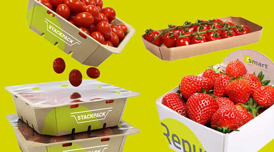PPWR: Was bedeuten die neuen europäischen Verpackungsvorschriften für Ihren Betrieb?